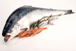 SALMONE SARDE E GAMBERI DUE SALMONE SARDE E GAMBERI DUE