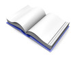 Generisches Buch