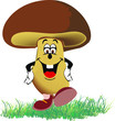 fungo porcino