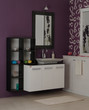 bathroom cabinet
