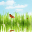background of spring grass and butterfly under blue sky background of spring grass and butterfly under blue sky