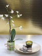 spa still life with orchid