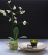spa still life with orchid
