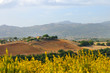 rural landscape in toscana