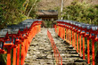 Red japanese lanterns (Kurama, Kyoto) Red japanese lanterns (Kurama, Kyoto)