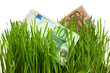 euros in the grass isolated euros in the grass isolated