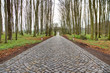 Cobblestone alley on Rugia island