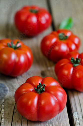 Photo: fresh tomatoes fresh tomatoes