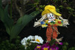 Friendly little scarecrow