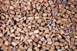 Piled firewood_Brennholz_Pappel_2