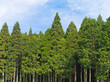 Naturschutz