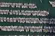 Bateaux dans le port de La Trinité sur Mer Bateaux dans le port de La Trinité sur Mer