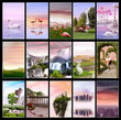 Pink Sunset Collection