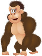 Gorilla cartoon isolated