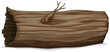 hollow log