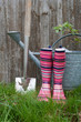 garden tools