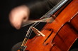 violoncelliste