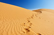 Photo: Sand dunes in Sahara Sand dunes in Sahara