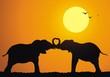 Vector: Elephants Elephants
