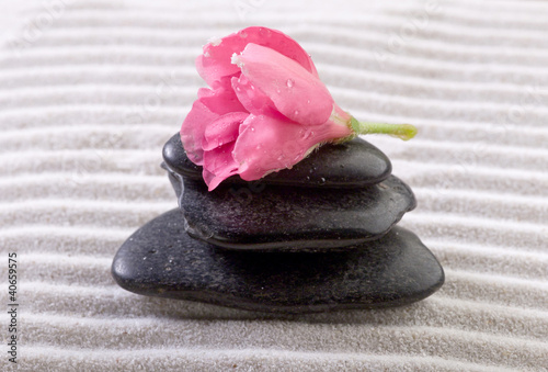 Photo: spa concept spa concept