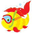 Fish diver swimming with a mask and snorkel