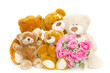 familie blumen familie blumen