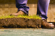 Green grass with shoes