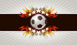 Soccer background