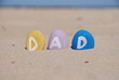 dad, father