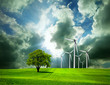 Environment