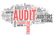 Word Cloud "Audit"