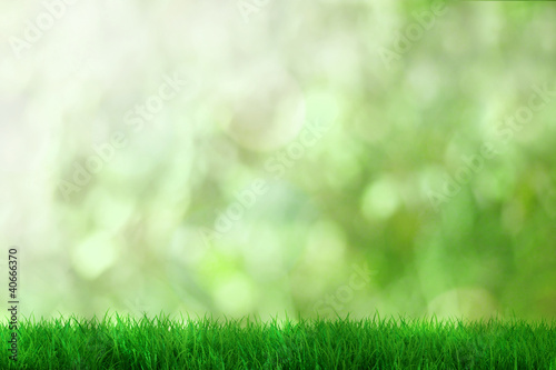 Illustration: Fresh grass Fresh grass