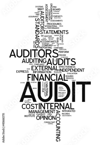 Illustration: Word Cloud "Audit" Word Cloud "Audit"