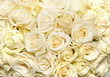 Flowers background