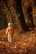child outdoor _ autumn