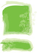 Vektor: Herbal background Herbal background