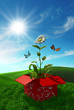 Illustration: Nature from a box Nature from a box