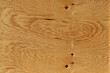 Holz