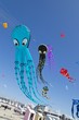 Cerf-Volant
