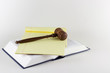 Gavel On a Legal Text Gavel On a Legal Text