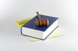 Gavel On a Legal Text Gavel On a Legal Text
