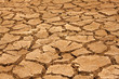 dry land in Thailand.