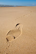Les pas sur la plage Les pas sur la plage