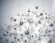 Molecular background