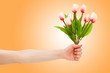 Hand with tulips on gradient