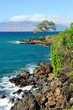 Beautiful Maui Beach Scene