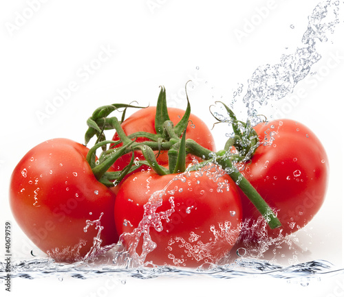 Photo: pomodori splash pomodori splash