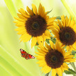 Spring concept Spring concept