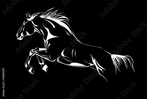 Vector: horse jumping on black vector horse jumping on black vector