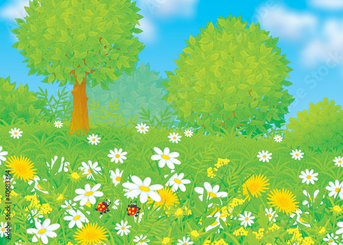 Illustration: Field with flowers Field with flowers